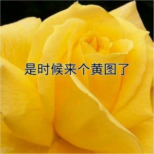 黄图表情包-是时候来个黄图了-