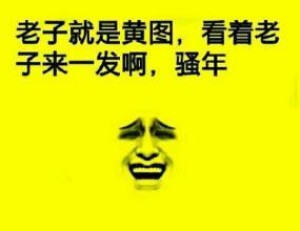 黄图表情包-看着老子来一发-