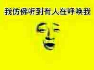 黄图表情包-我仿佛听到有人在呼唤我-
