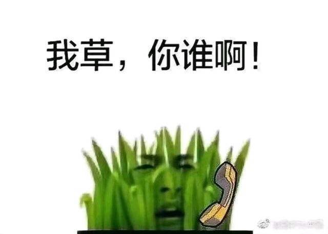 太阳与小草表情包-我草，你谁啊-