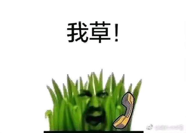 太阳与小草表情包-我草-