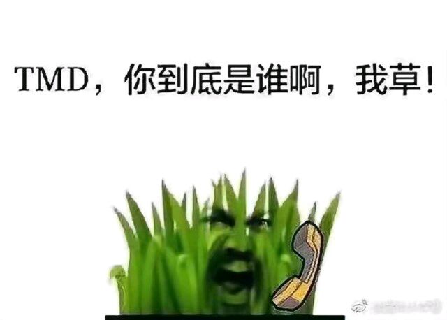 太阳与小草表情包-TMD，你到底是谁啊，我草啊