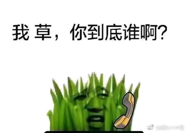 太阳与小草表情包-我草，你到底是谁啊