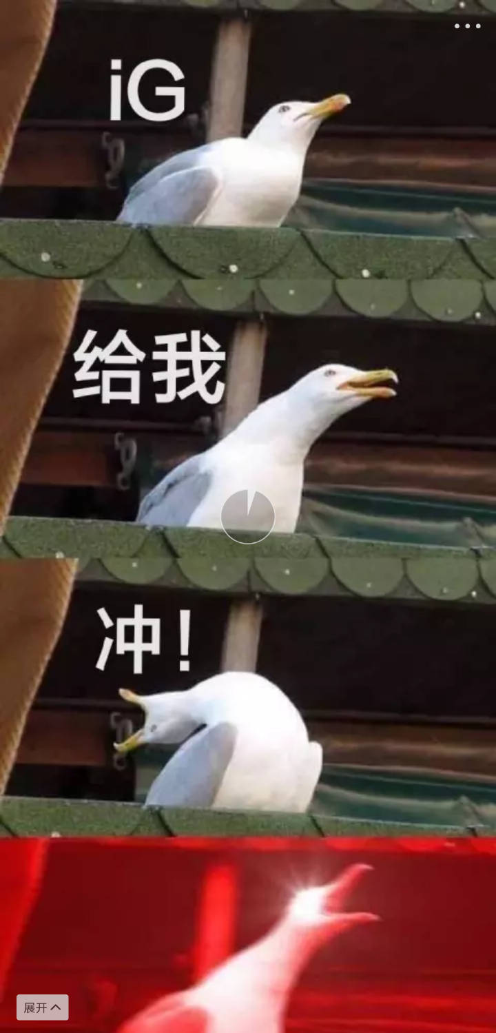 S8全球总冠军IG表情包-29-