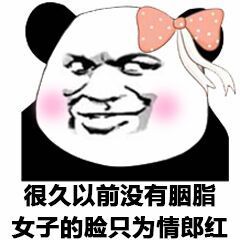 熊猫头撩妹表情包-1-