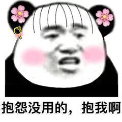 熊猫头撩妹表情包-2-