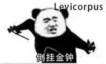 哈利波特咒语熊猫头表情包-10-