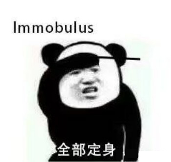 哈利波特咒语熊猫头表情包-15-