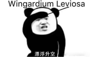 哈利波特咒语熊猫头表情包-14-