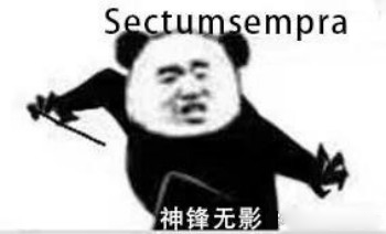 哈利波特咒语熊猫头表情包-16-