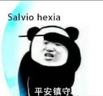 哈利波特咒语熊猫头表情包-28-
