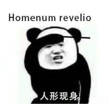 哈利波特咒语熊猫头表情包-35-