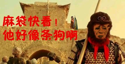 麻袋哥表情包-31-