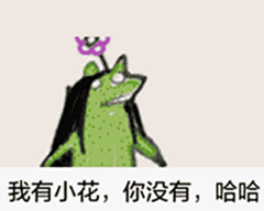 疯狂的科米蛙表情包-14-