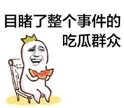 吃瓜表情包-5 