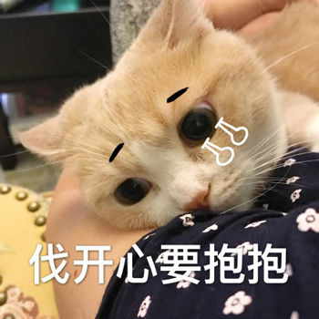 喵要抱抱表情包-2 