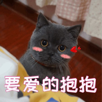喵要抱抱表情包-5 