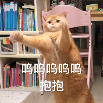 喵要抱抱表情包-10