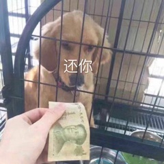 快还钱表情包-2 -