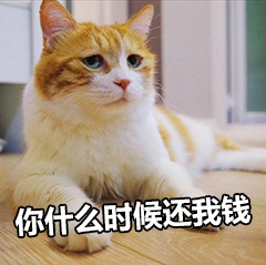 快还钱表情包-4 -
