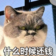 快还钱表情包-6 -