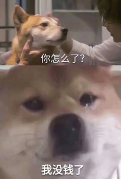 快还钱表情包-5 -
