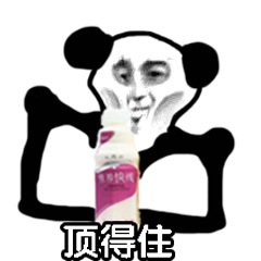 熊猫头顶得住-