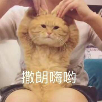 喵喵比心表情包2 -