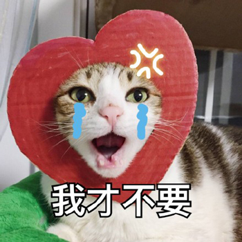 喵喵比心表情包12-
