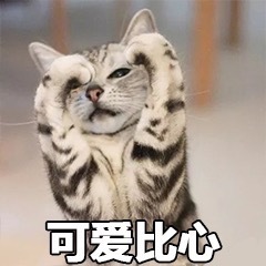 喵喵比心表情包19-