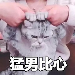 喵喵比心表情包20-
