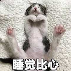 喵喵比心表情包18-