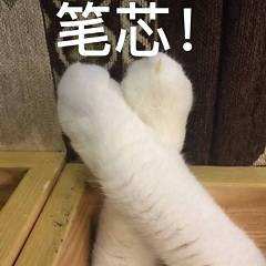 喵喵比心表情包26-