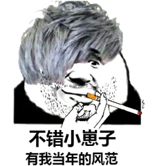 父子反目熊猫头表情包27-