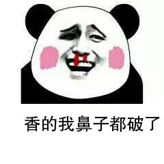 熊猫头流鼻血表情-18-