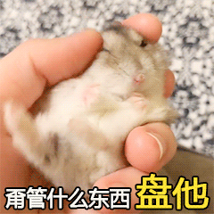 盘它盘他盘她表情包-20-