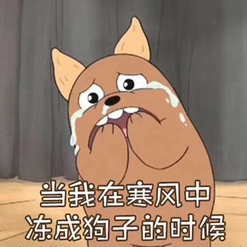 棕色裸熊表情包-当我在寒风中冻成狗子的时候