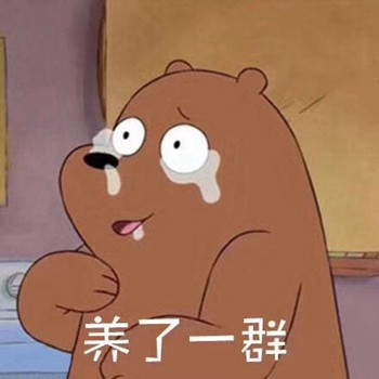 棕色裸熊表情包-养了一群-