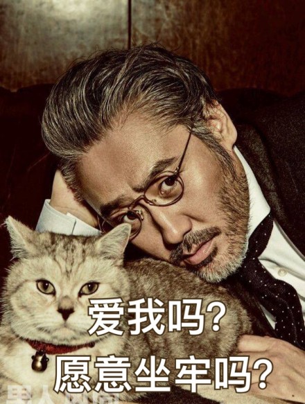 吴秀波2019表情包-7 -