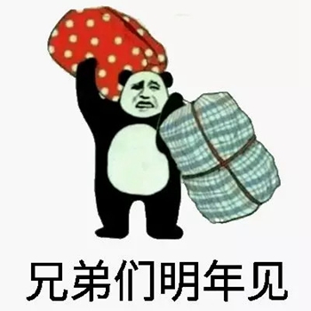 熊猫头春运表情包2-