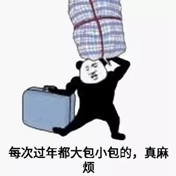 熊猫头春运表情包3-
