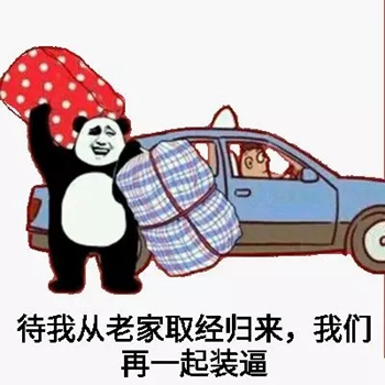 熊猫头春运表情包4-