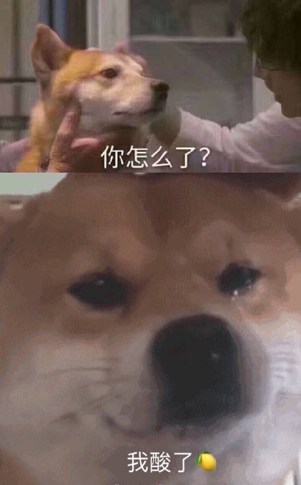 我好酸啊表情包22