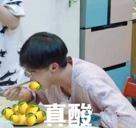 我好酸啊表情包25