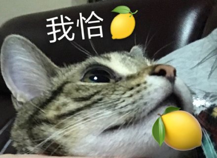 我好酸啊表情包32-