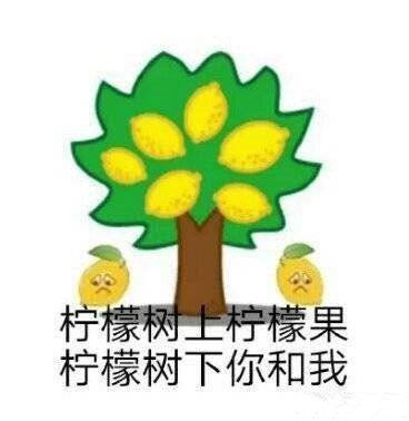 我好酸啊表情包36-