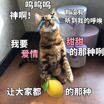 我好酸啊表情包45-