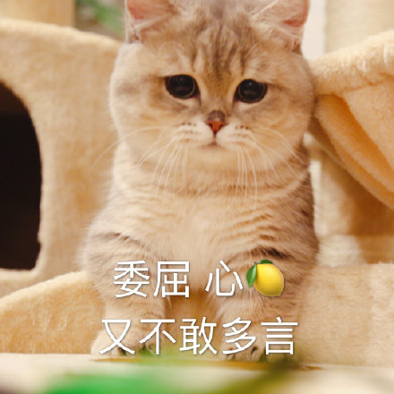 我好酸啊表情包49-