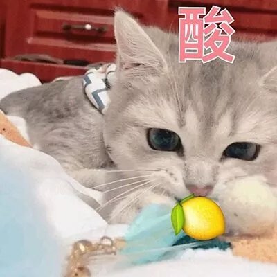 我好酸啊表情包51-