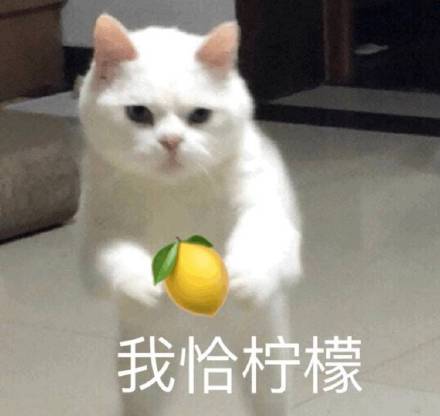 我好酸啊表情包59-